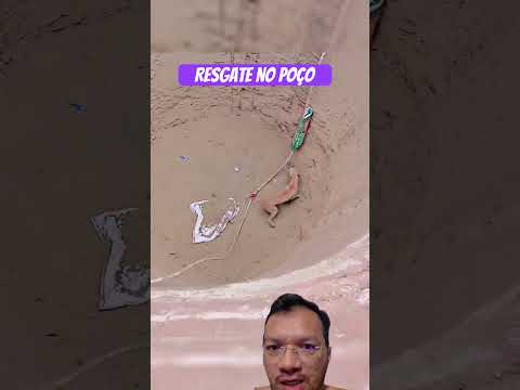 Esse cachorro será grato pra sempre #pets