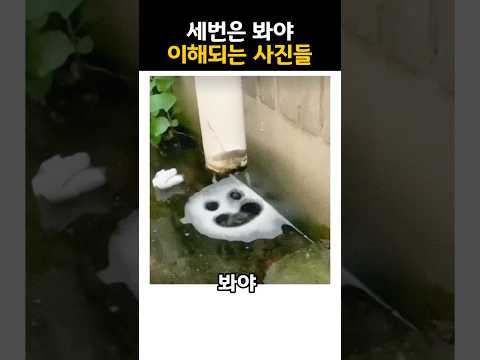 세번은 봐야 이해되는 사진들 노래