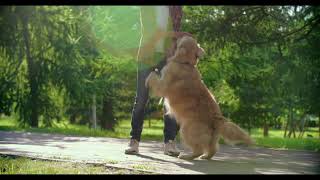 Animals: I Thought You Ft Noah and Nelli Audio
