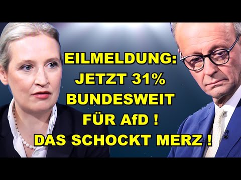 EIL: 31% BUNDESWEIT für AfD! Merz tobt!