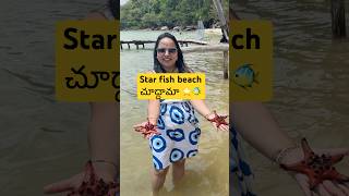 స్టార్ ఫిష్ బీచ్ in vietnam 🇻🇳 #starfish #beach #vietnamtravel #couplevideo #phuquoc #beachvibes