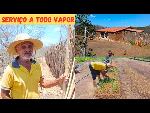 Serviço a Todo Vapor no Sítio Plantamos Cebola na Horta +Terminamos o Cercado dos Bodes vão Chegar