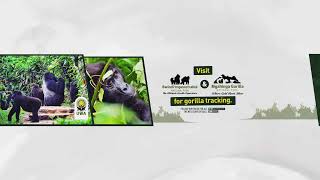 Leadership Transition: A New Era for UWA