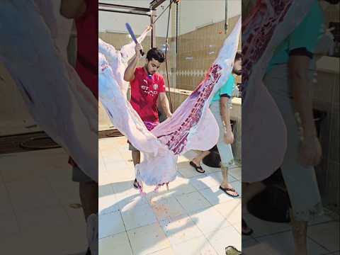 camel cutting best skills video    #amazing #camel #cuttingskills #trending  #viralshorts