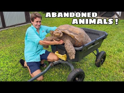 SAVING THE ANIMALS At THE ABANDONED ZOO !