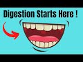 Understanding the Mouth and Digestion