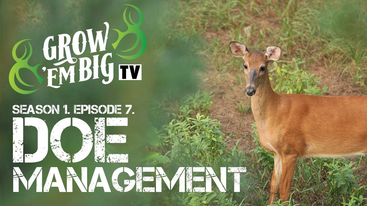 Doe Management | Grow ’em Big TV