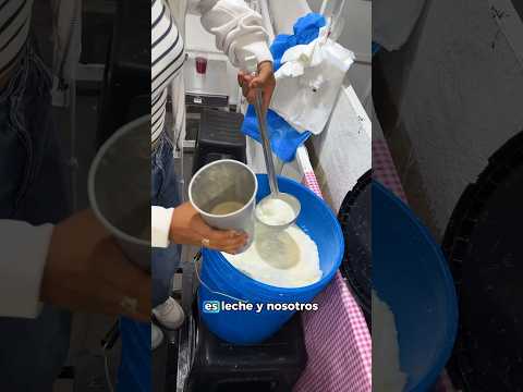 Los chocomiles de Santa Anita, Jalisco #chocomilkshake  #jalisco #tlaquepaque