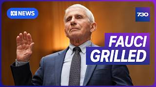Inside the pile-on to prosecute Dr Anthony Fauci | 7.30