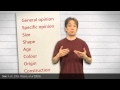 Ordering Adjectives in English