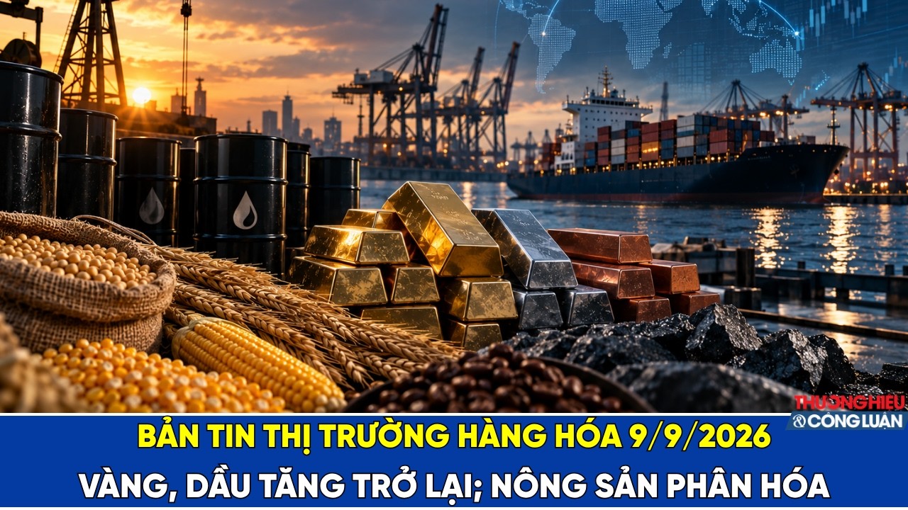 Bản tin thị trường hàng hóa 9/9/2026: Vàng, dầu tăng trở lại; nông sản phân hóa