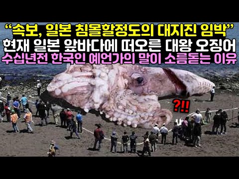 현재 일본 앞바다에 떠오른 대왕 오징어에 수십년전 한국인 예언가의 말이 주목받고 있는 이유