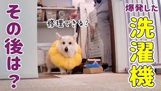 【爆発した洗濯機】何を洗濯したの？ & 修理業者に来てもらった結果は！？