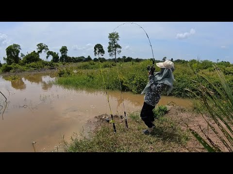 EDANN!!! BERTUBI TUBI PANCINGKU DI TARIKK!! MANCING LIAR DI SUNGAI....