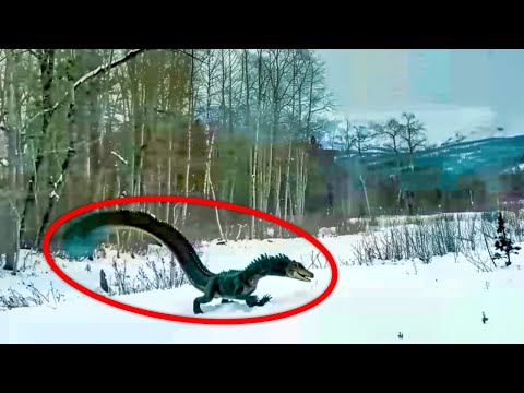 Real Dinosaur Sightings That Have Scientists Baffled