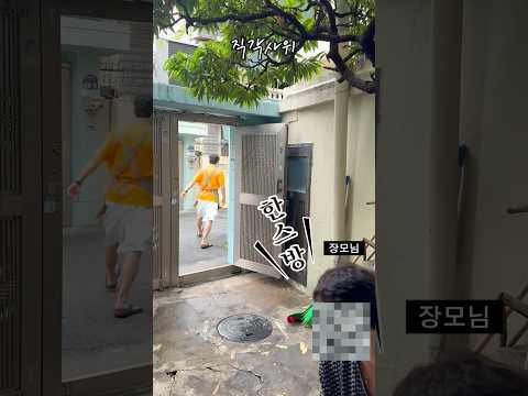 부산 사는데 강원도에 옥수수 따러 갑니다. 장모님 마음까지 사로 잡았습니다.