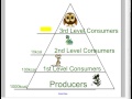 Exploring the Energy Pyramid
