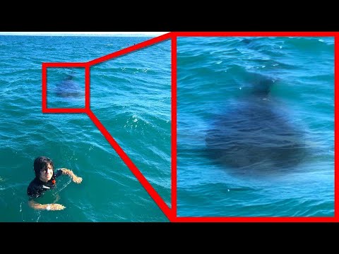 Si Le Tienes Miedo Al Oceano NO MIRES ESTE VIDEO! - Parte 2