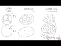Sedimentary Rock Characteristics Assessment