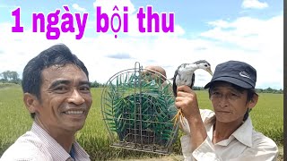 Tuyệt Chiêu Dùng Quốc Mồi Và Dây Thòng Lọng Kết Hợp Thu Phục Quốc Bể # SĂN BẮT ĐỒNG THÁP #