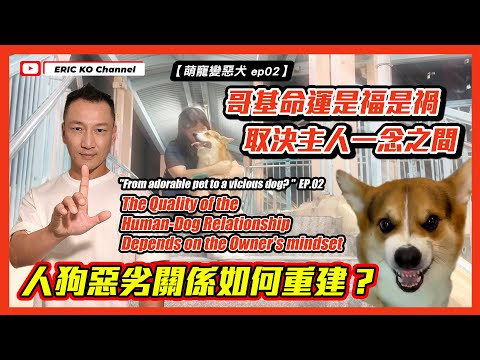[萌寵變惡犬 EP02] 哥基命運是褔是禍 取決主人一念之間 人狗惡劣關係如何重建？  "From adorable pet to a Vicious dog - Ep.02 "