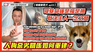 [萌寵變惡犬 EP02] 哥基命運是褔是禍 取決主人一念之間 人狗惡劣關係如何重建？  "From adorable pet to a Vicious dog - Ep.02 "
