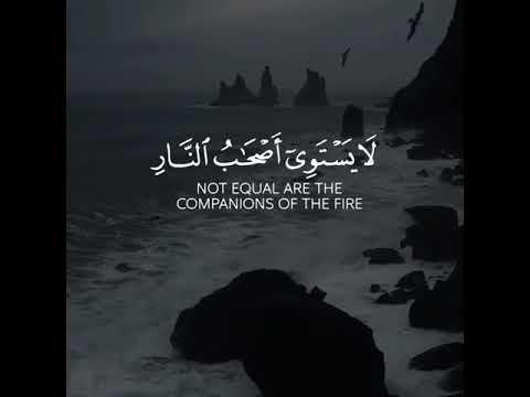 فيديو 295 من  القرآن الكريم