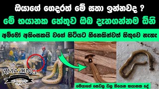 අම්මෝ මෙයාලා ගැන මේදේවල් නොදැන හිටියොත් ජීවිතේම අනතුරේ Abirahas Gaweshanaya Success Story