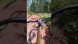 TRAIL OF THE WEEK - Iglmoos Trail