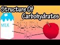 Exploring the Structure of Carbohydrates
