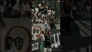 this comeration🤫#palmeiras#raphaelveiga