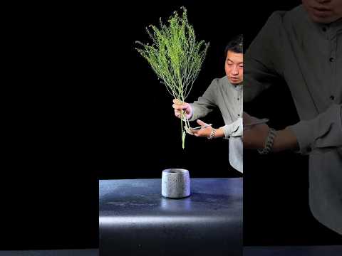 Mr. Flower Arrangement#中式插花#花艺设计