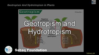 Geotropism and Hydrotropism