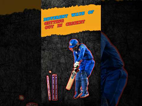 Different ways to get out in cricket ll Yorker yard