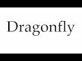 Dragonfly Characteristics and Habitats