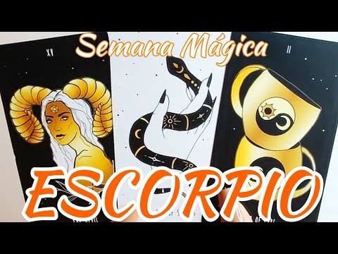 Escorpio 🤩 Te Encantará 🎊 Muy Pronto lo Celebrarás! Horóscopo Tarot Hoy Noviembre 2024 Amor