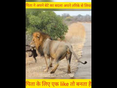 इस तरह एक पिता ने लिया अपने बेटे के मौत का बदला