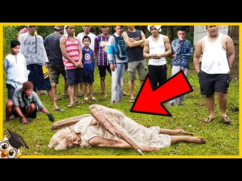 30 Cosas Extrañas que Han Caído del Cielo
