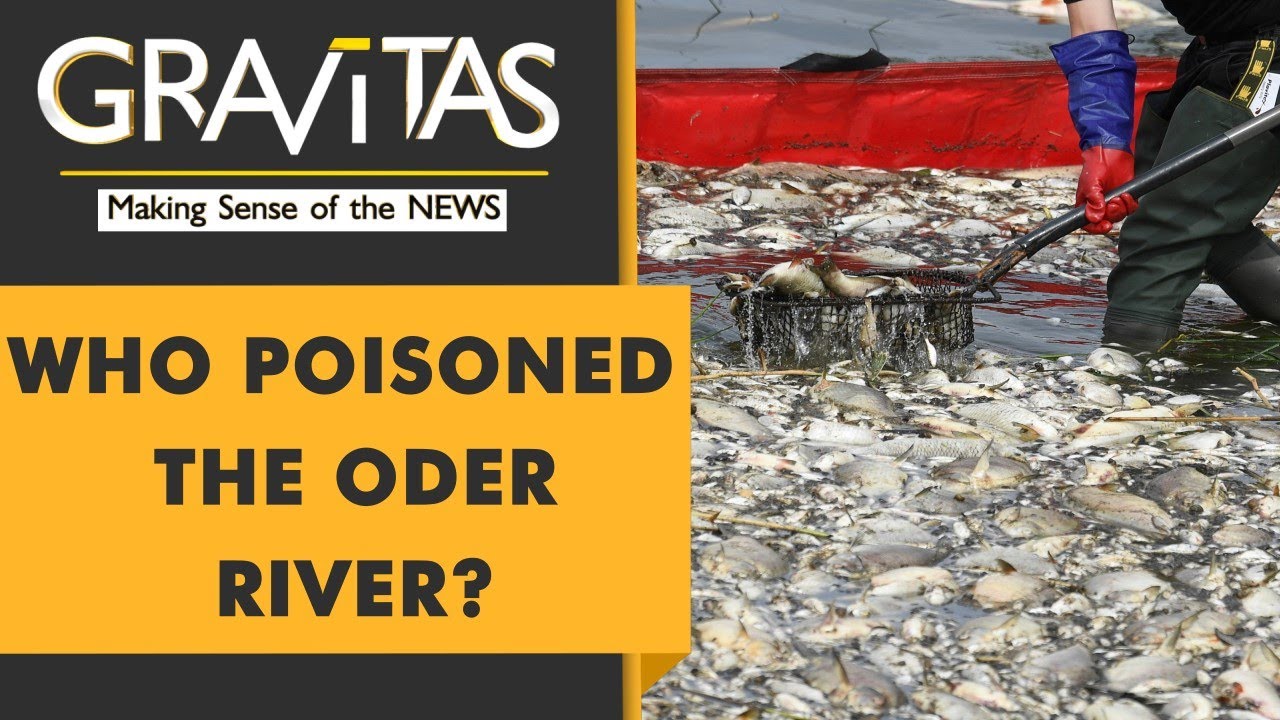 Gravitas: 100 Tonnes of Dead Fish pulled out of Europe's Oder River