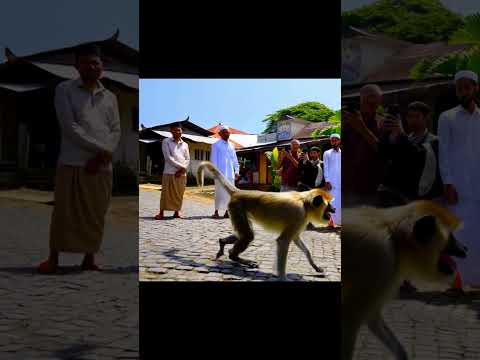 Anjing tidak mau merawat anak