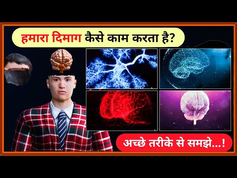 हमारा दिमाग कैसे काम करता है | How does our Brain work | 3D Animation ‪@TheScienceNewsHindi‬ 🔥,