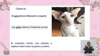 Educación a Distancia | Lengua y Literatura - 7mo Grado | Clases de Palabras