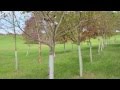 Stroud Water Research Center Insights