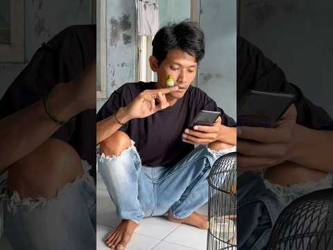 Gimana ini malah jadi beneran terbang #ebiwirawan