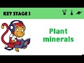 Plant Nutrition and Health Concepts