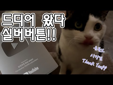 드디어 도착했다구!! 실버버튼 언박싱 😍 ( feat. 하루🐱🐈 ) #유튜브크리에이터어워즈