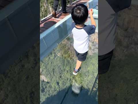 thử thách đi trên cầu kính đáng sợ v74 #cute