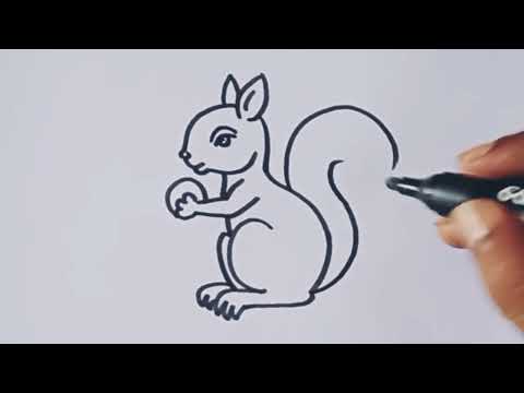 Squirrel drawing easy step by step / How to draw a Squirrel /Squirrel outline drawing