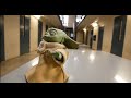 Baby Yoda's Adventures and Language Ranks