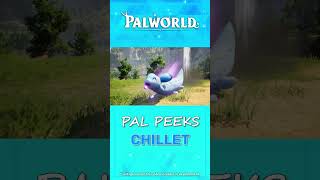 Pal Peeks - Chillet │ Palworld Official